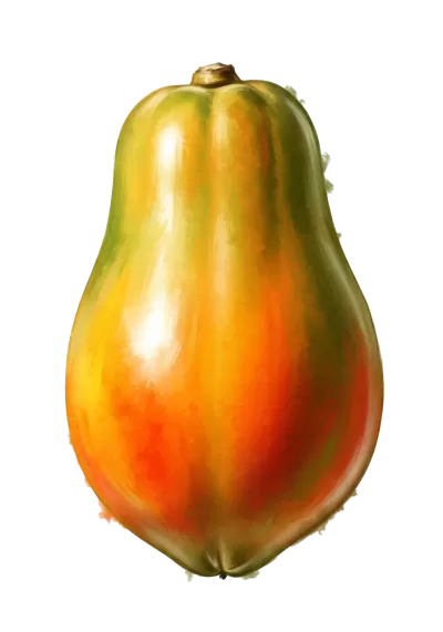 Imagen PNG para descargar